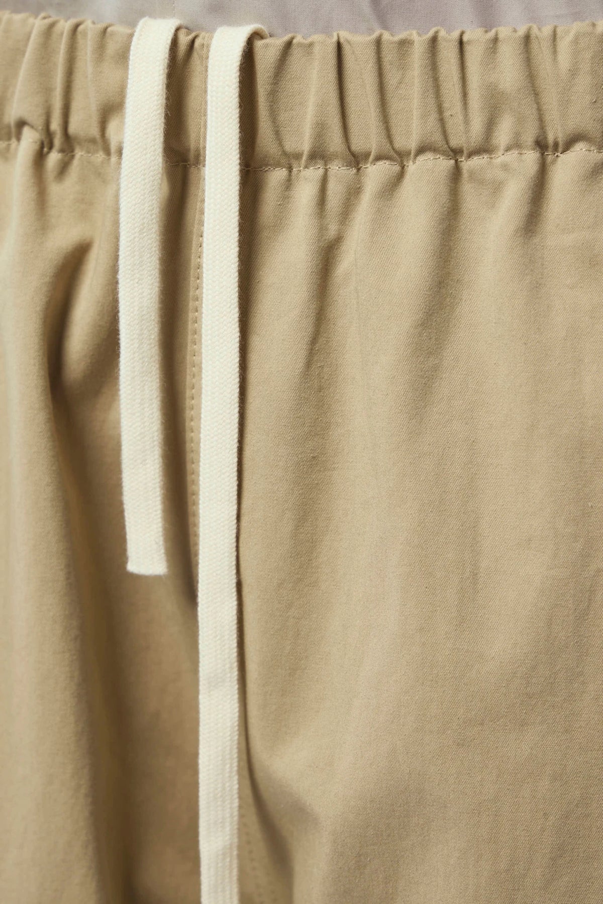 Back view of Sofie D'Hoore Wide-Leg Pants in beige