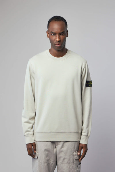 Regular Fit Crewneck Sweatshirt