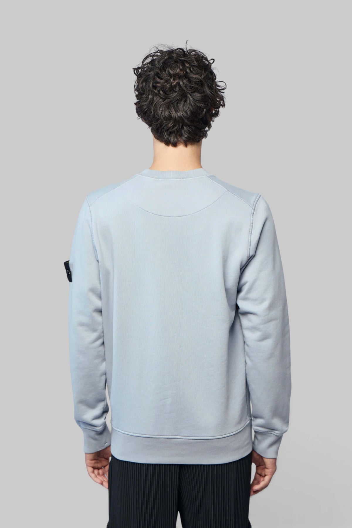 Back view of Stone Island cotton sweatshirt showing silhouette