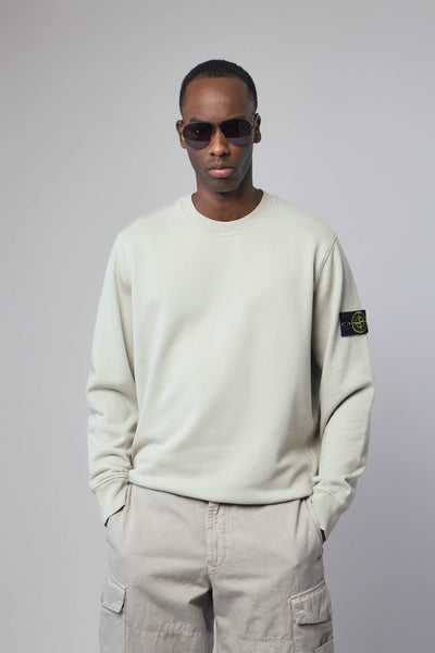 Regular Fit Crewneck Sweatshirt