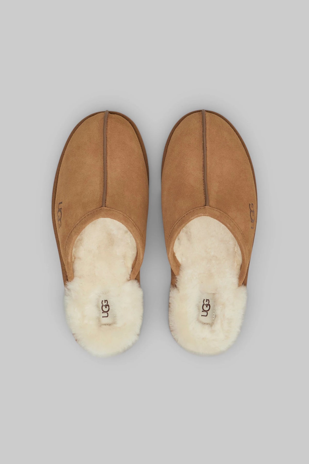 UGG - M Scuff - LABELS