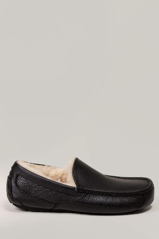 Ascot Black